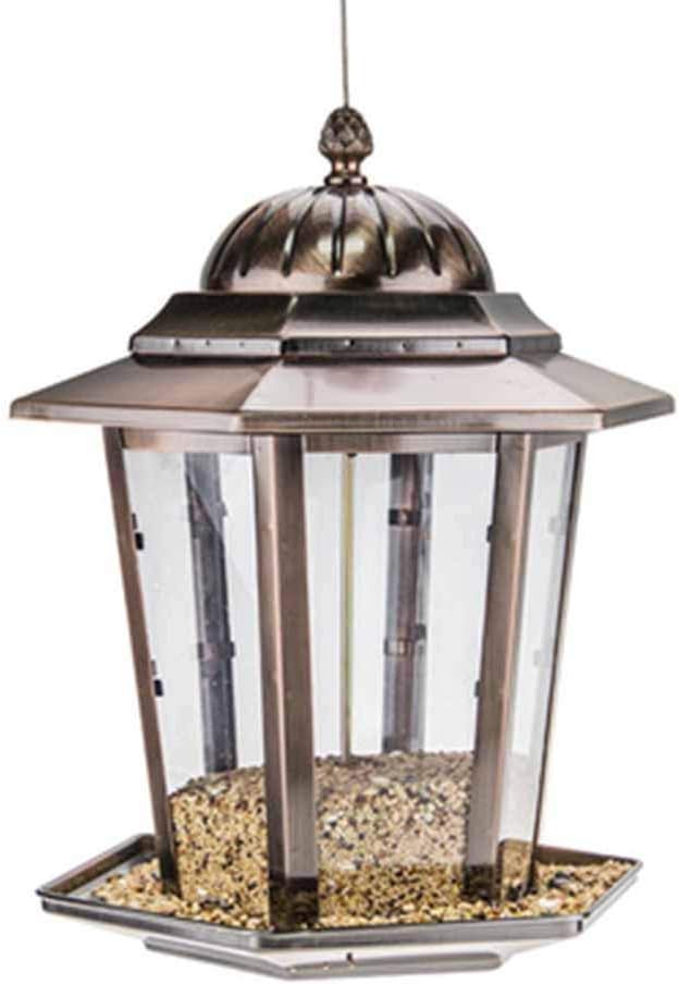 mais per mangiatoie per scoiattoli per esterni