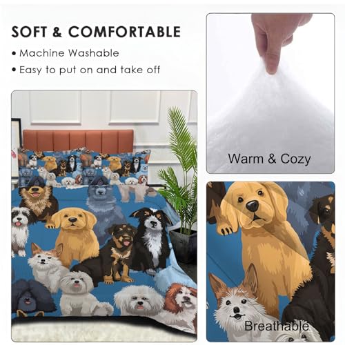 Couette microfibre légère résout le problème des nuits trop froides ou étouffantes
