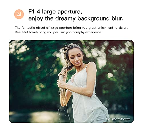 Lente TTArtisan 50mm F1.4 Metal para Sony E Negro - Fernando Cortés