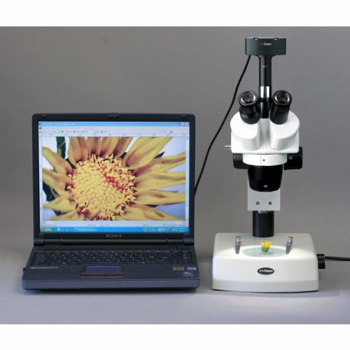Image of AmScope SW24T Trinocular Stereo Microscope Head, WH10x Eyepieces, 20X and 40X Magnification, 2X /4X Objective