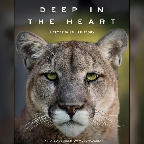 Ben Masters - Writer, Director and Founder of Fin & Fur Films