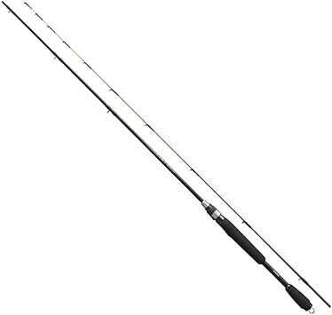 日本製 シマノ SHIMANOイカダリミテダッドS11 - htii.edu.kz