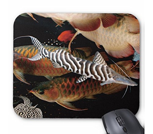 ジョンヒョン 写真集 写真、マウスパッド ジョンヒョン 写真集 写真