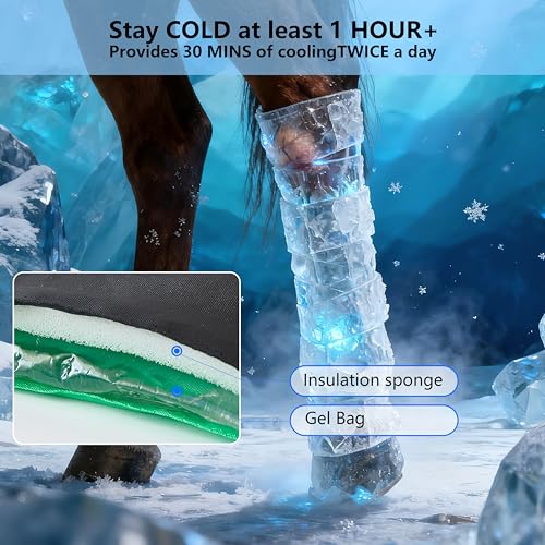 Reusable Gel Horse Ice Boots 2 Pack, Adjustable 5 Leg Cooling Wraps | Easy Cooling Relief on Hocks Knees & Ankles, Durability & Cooling in Active Horses - Image 6