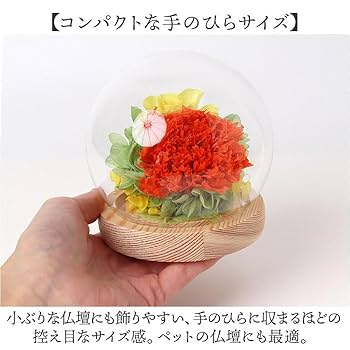 スフィアガラスドーム プリザーブドフラワー ガラスドームアレンジメント セット ガラスドームアレンジメント 紗和（さわ） C29360