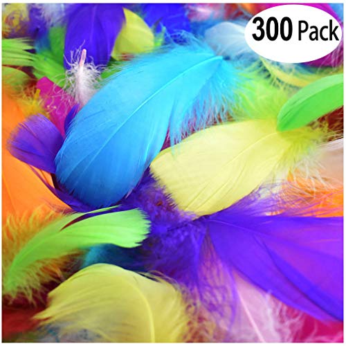 Poswlto 300Pcs Decor Feathers,Colorful Feathers for DIY Craft Wedding Home Party Decorations.