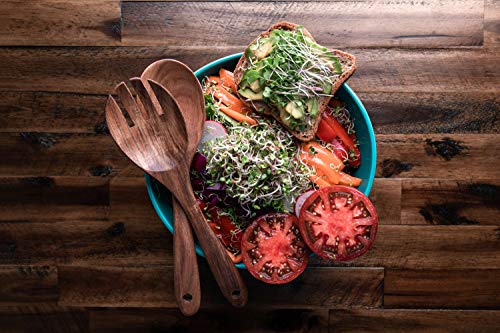 Kale Trio Sprouting & Microgreen Mix | Contains Blue Curled Scotch, Premier & Red Russian Kale Seeds | Heirloom Non-GMO Seeds | Bulk 1 LB Resealable Bag | Rainbow Heirloom Seed Co.