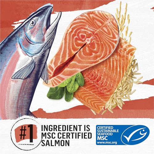 Purina Beyond Natural Wholesome Ingredients for Whole Health Dry Cat Food Salmon and Whole Brown Rice Recipe - 6 lb. Bag - Image 3
