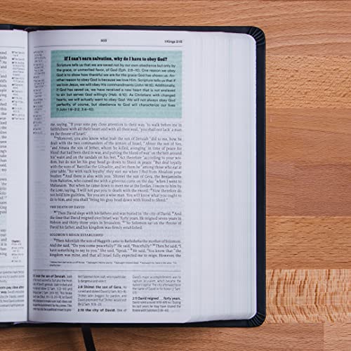 ESV Reformation Study Bible, Student Edition - Gray, Paperback