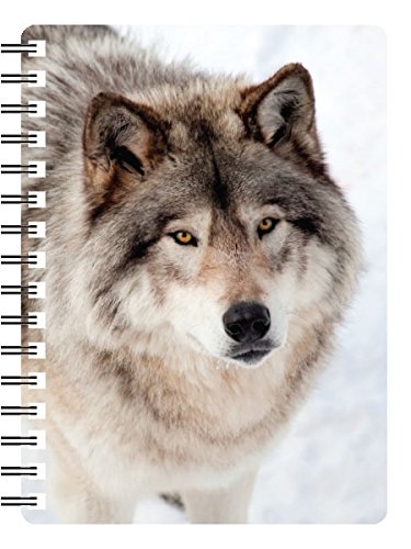 Wolf gift - Small Notebook with stunning 3D front cover approx. 6" x 4". Ideal for the handbag or Pocket. Quality Spiral bound Notebook