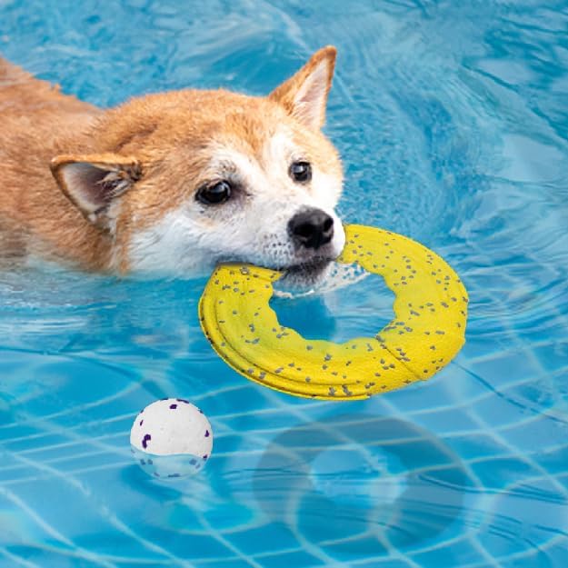 Miniatura 5 de Dog Fetch Toys - Pelotas de tenis, 2 unidades, disco volador indestructible para perro, ligero, aerodinámico de alto vuelo de larga distancia,