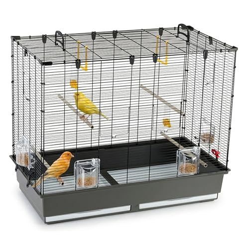Ferplast Grande Cage pour Canaris, Perruches et Oiseaux Exotiques PIANO 6, avec Mangeoires Pivotantes et Accessoires