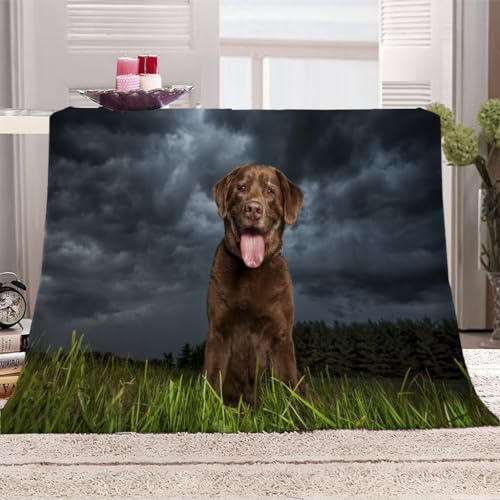 SVTUSR Manta Polar Infantil Cama 90 Manta De Franela para Sofa Cama con Cachorro De Animales De Hierba Impresión Patrón 130X150Cm Colchas Invierno Modernas para Niños, Microfibra Suave Caliente