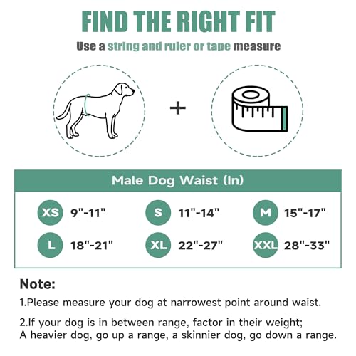 Image of wegreeco Washable Male Dog Belly Band (Stylish Pattern) - Pack of 3 - Dog Diapers Male - Washable Male Dog Belly Wrap (Bones & Footprints, X-Small)