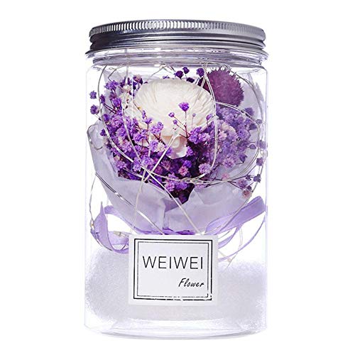NELNISSA Rose Babysbreath Dry Flower LED Lamb Valentine Birthday Gift Decor (Purple)