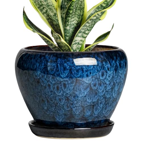 Thirtypot 6 Inch Plant Pot - Ceramic Pots for Plants with Drainage Hole and Saucer Round Succulent Planter Indoor Outdoor Modern Flower Pot for Snake Plants Home Decor Gifts for Plant Lover Blue