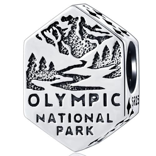 Olympic National Park in Washington Charms, Vintage 925 Sterling Silver Hexagon Beads fits Pandora American Travel Bracelet Gifts for USA Souvenir/Birthday/Son