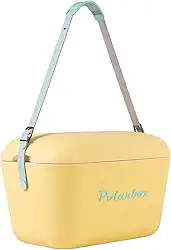 Geladeira portátil, caixa térmica, frigorífico para praia, campismo e piquenique (20 l, amarelo)