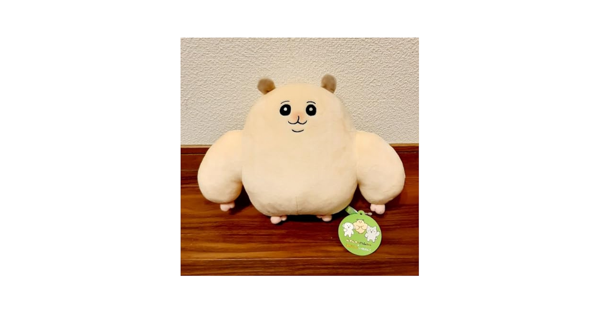 Amazon.co.jp: ムキムキのハムちゃん ほがらかいぬねこ BIG