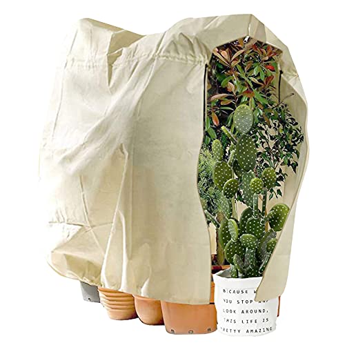 Preisvergleich Produktbild Donken Pflanzenschutz Winter Frostschutz Winterschutz für Pflanzen Kübelpflanzensack Groß Vlieshaub Pflanzenabdeckung mit Reißverschluss, Beige (240 x 200 cm)