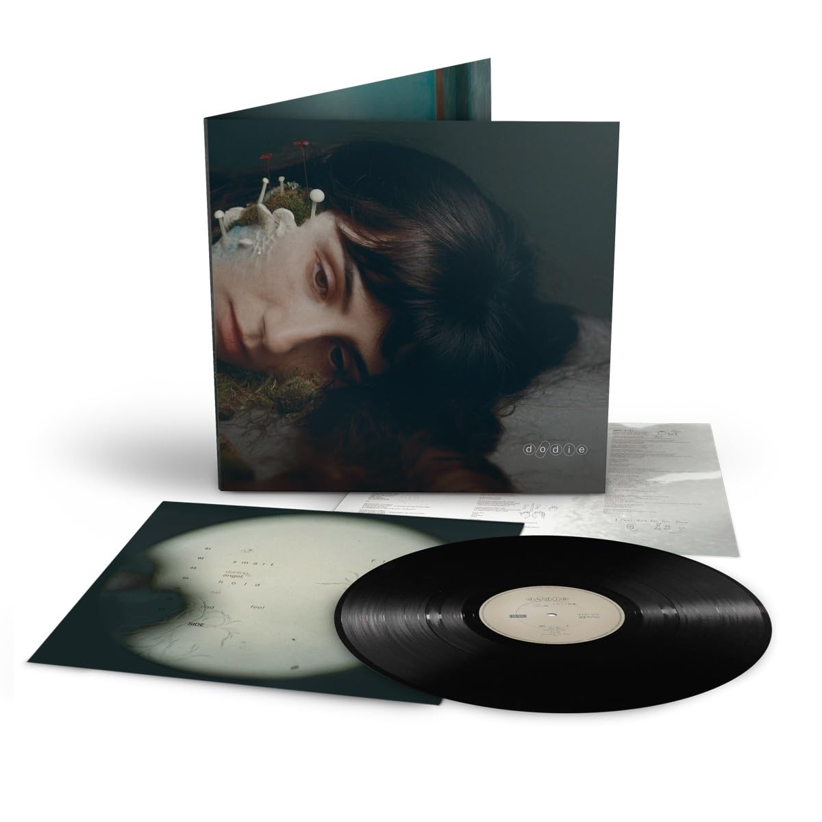 Not For Lack of Trying [VINYL]