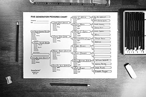 Easygenie 186186 Five Generation Pedigree Charts For Genealogists (7-Pack) | Archival-Quality Genealogy Forms thumb #5