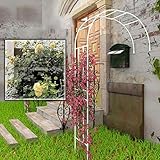 ●Design élégant : l'arche de roses convient pour grimper diverses roses et vignes. C'est une arche de jardin décorative qui supporte les plantes grimpantes et les légumes, ajoutant ainsi une belle touche à votre jardin.