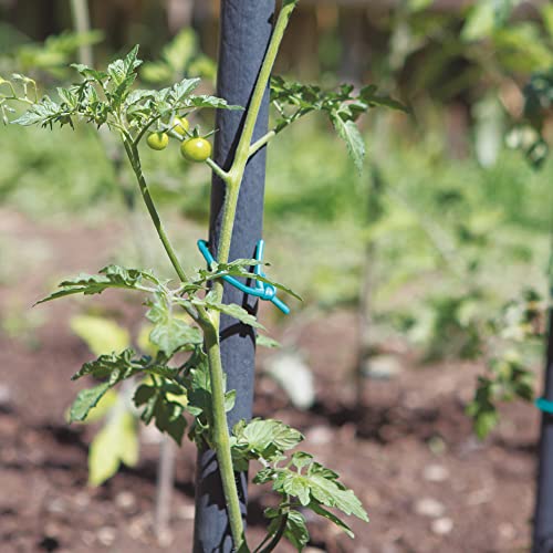 TENAX Tube Agricole Marron 500 g, Diamètre 3 mm, Reliure PVC pour Plantes, Légumes et Fleurs, Longueur 80 m – vue 4