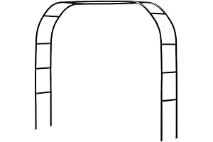 Pumpkin Arch: Enhance Your Garden with a Captivating Entrance