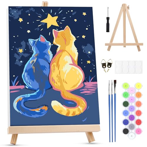 MXJSUA Peinture Numero Enfant Adulte avec Cadre, Ciel Étoilé Chat Numéro d'art avec Pinceaux, Loisirs Créatifs Adultes, Activité Manuelle Adulte, 20x30cm