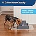 PetSafe Drinkwell Pet Fountain - Cat & Dog Hydration Station with Free-Falling Water Stream & Customizable Flow - Encourages Hydration & Protects Sensitive Whiskers - 1/2 Gallon