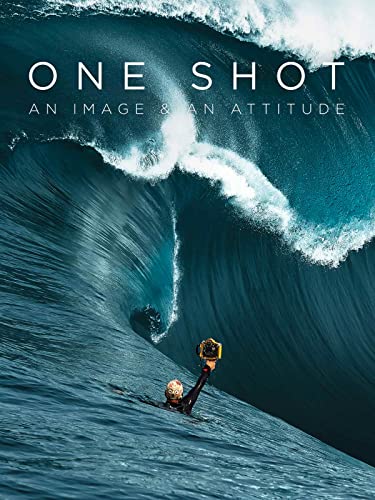 One Shot: An Image and an Altitude