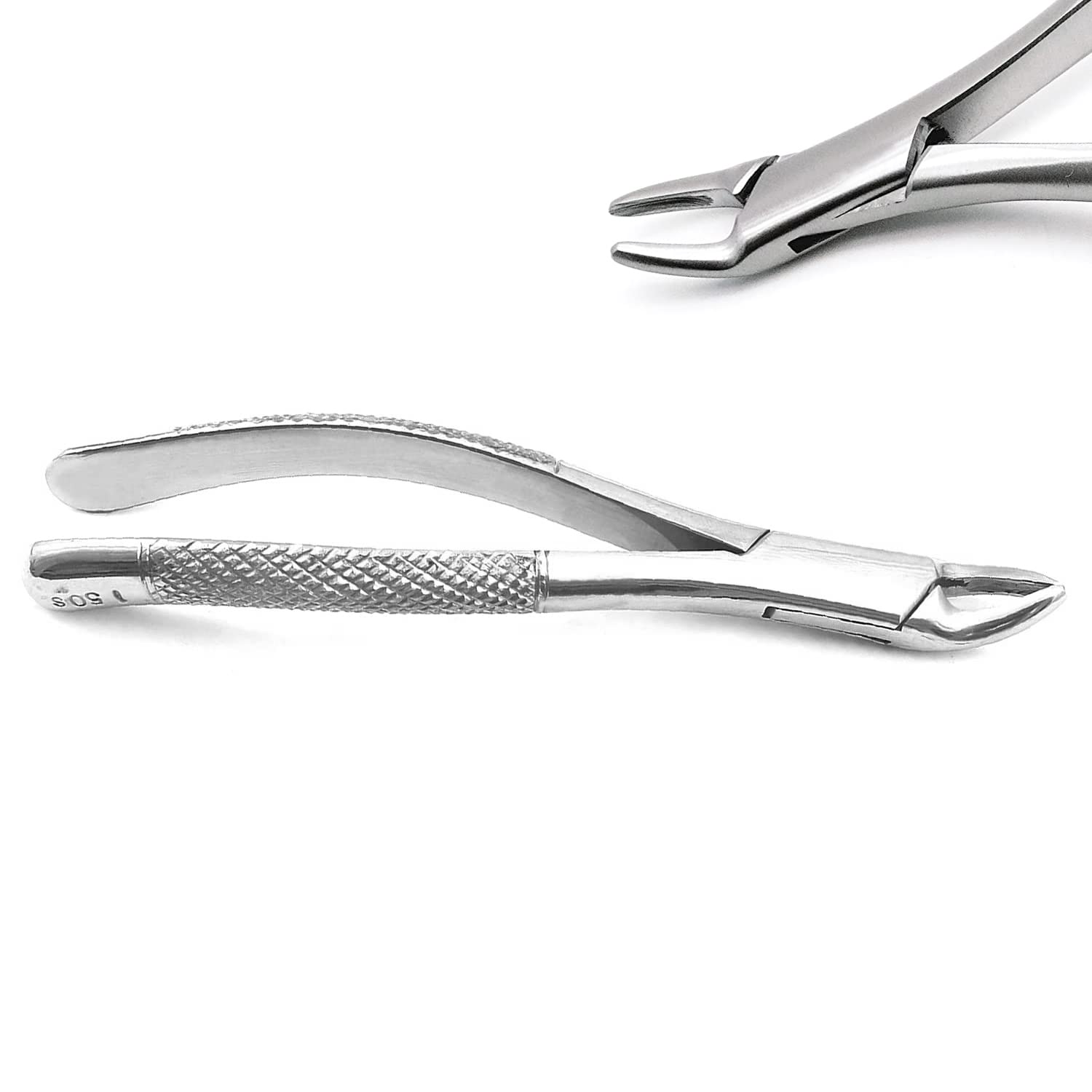 LAJA IMPORTS 1PC Dental Instrument 150S EXTRACTING Forceps Stainless Steel