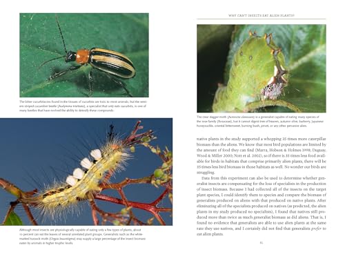 Bringing Nature Home: How You Can Sustain Wildlife with Native Plants, Updated and Expanded - Image 5