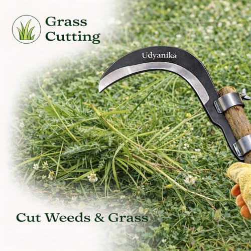 Grass Sickle Cutter Head | Heavy Coconut Plucker with Adjustable Handle Clamp | Razor- Sharp Metal Blade for Tree Branches, Grass, Weeds, Gardening | Multipurpose Agricultural Hand Tool - Image 5