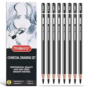 PANDAFLY Professional Charcoal Pencils Drawing Set – 8 Pieces Soft Medium and Hard Charcoal Pencils for Drawing, Sketching, Shading