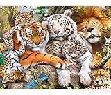 Bimkole DIY 5D Diamond Painting Zubehör Tiger Löwen Leopard, Tier Diamant Malerei Kit Voll Runde Bohrer Malen nach Zahlen Malerei Stickerei Kreuzstich Diamond Dekoration, (40x50 cm)