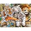 Bimkole 5D Diamond Painting Kits Tiger Lion Beast, DIY Diamant Schilderij Kit Animal Full Ronde Boor Crystal Strass…