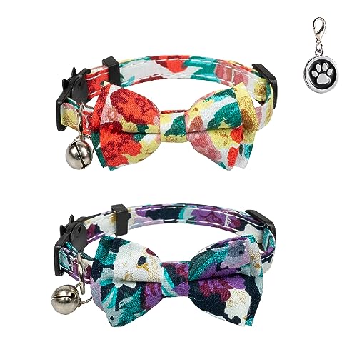 L  lR Lp  q qDt {t t Z[teBobN  \ y ybg 2Zbg (G-+)