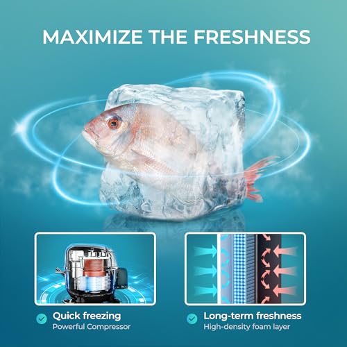 EUHOMY Upright freezer, 3.0 Cubic Feet, Single Door Compact Mini Freezer with Reversible Stainless Steel Door, Small freezer for Home/Dorms/Apartment/Office, Silver