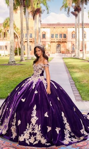 Luxury Velvet Quinceanera Dresses 3D Butterfly Ball Gown Gold Lace Appliques Sweet 16 Dresses with Removable Cape4