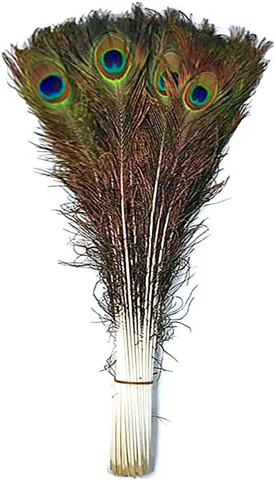 50 Pieces - 45-50 Natural Long Iridescent Peacock Tail Eye Wholesale Feather (Bulk) Halloween Craft Supply | Moonlight Feather