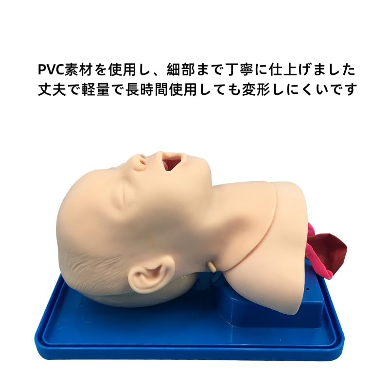 気管内挿管練習キット 気管内挿管練習キット Amazon.co.jp: 気管挿管トレーニング