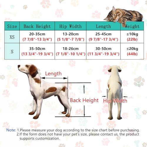 Silla de ruedas para perros lesionados que devuelve la alegría de caminar 7
