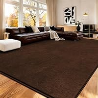 Jungsang Fluffy Rugs Living Room, 160x230cm Soft Shaggy Carpet Rugs for Bedroom, Machine Washable Anti Slip, Non Shedding Modern Indoor for Dorm Teens Room Decor, Coffee Brown