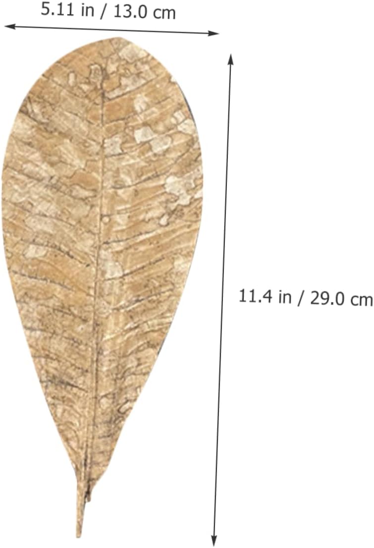 COLLBATH Dried Leaf Sushi Tray Decor 20Pcs Seafood Display Serving Plate Unique Sashimi Background Leaf Embellishments for Food Photography for Restaurants and BBQ
