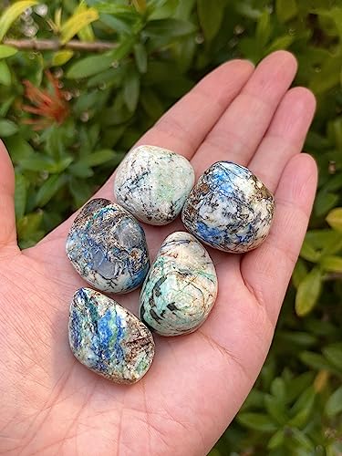 Image of GAF TREASURES 1 /2 LB Azurite Malachite Tumbled Stones, Polished Natural Azurite Malachite Gemstone, Azurite Malachite Healing Crystals (Azurite Malachite)
