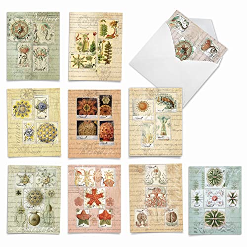 The Best Card Company - 10 Boxed Note Cards Blank (4 X 5.12 Inch) - Bulk Assorted Cards, Vintage Pictures - Vintage Nature M2353Ocb #TOP15