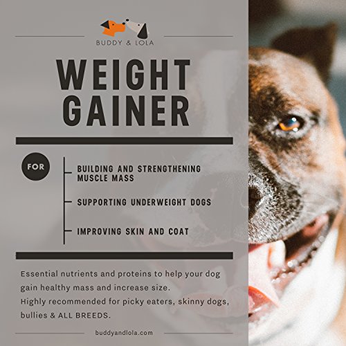 Buddy & Lola Dog Weight Gainer - Dog Supplement For Weight Gain - Dog Protien Powder For Max Muscle Builder, High Calorie Supplement For All Dogs & Breeds Inc Bully. Pro Food Topper - Made In The Usa #TOP2