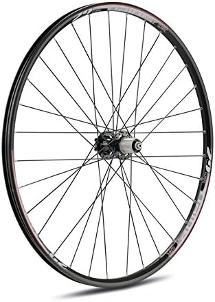 Gurpil 64001 - Black Rear Wheel with Cassette Wheel Bearings 8/9v nainer 29  : Amazon.ca: Sports \u0026 Outdoors